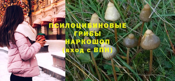 прущие грибы Алзамай
